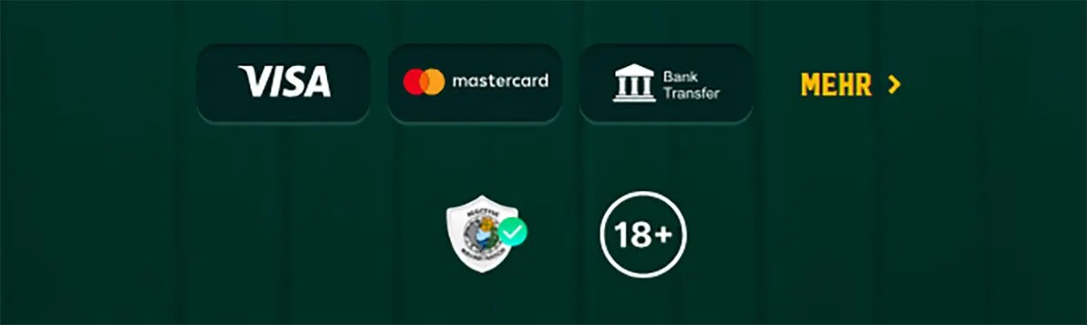 Footer section showing Visa, Mastercard, and bank transfer payment icons, a “More” link, a security badge, and an 18+ age restriction symbol on a dark green background.