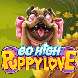 Go High Puppy Love by RubyPlay, showcased at 5gringos-casino.eu – game logo